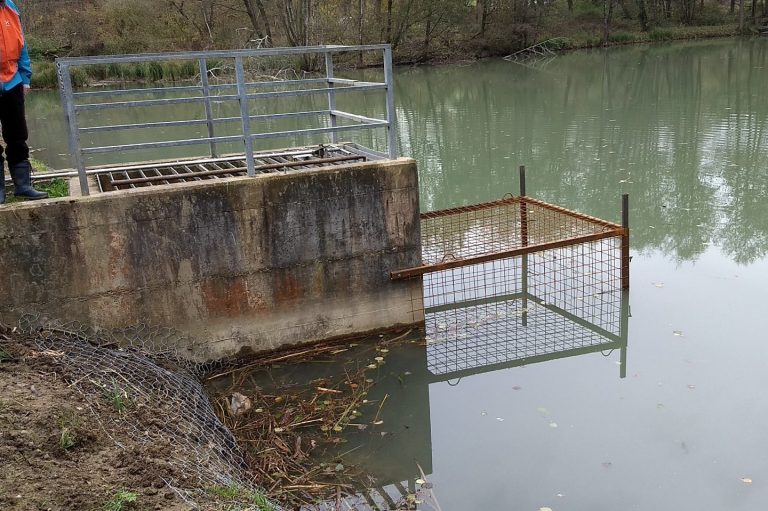 Gitter an einem Seemönch