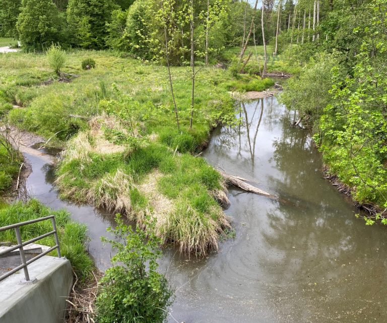 Biberlandschaft von einer Brücke betrachtet