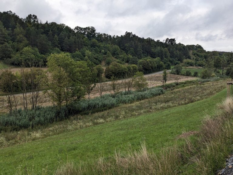 Pufferstreifen entlang von einem Bach