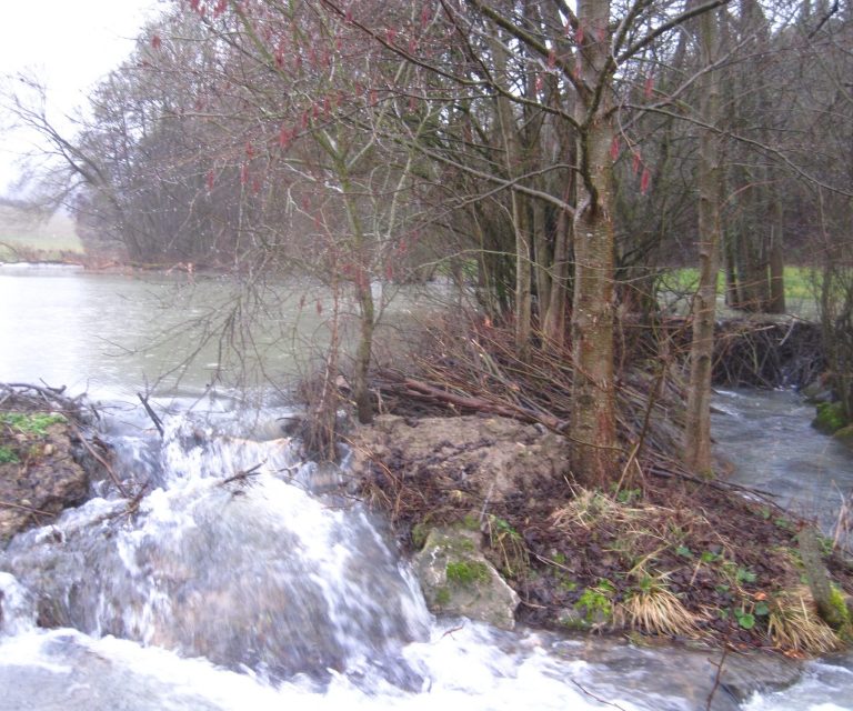 Hochwasser - Petra Kuch Hochwasser an einem Bach