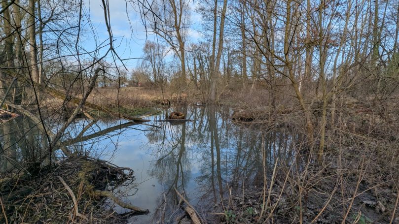 Ein großer See ist entstanden