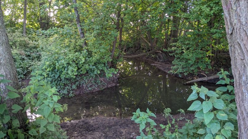 Durch eine Rinne läuft Wasser