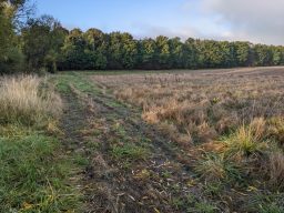 Breiter Pufferstreifen an einem Bach