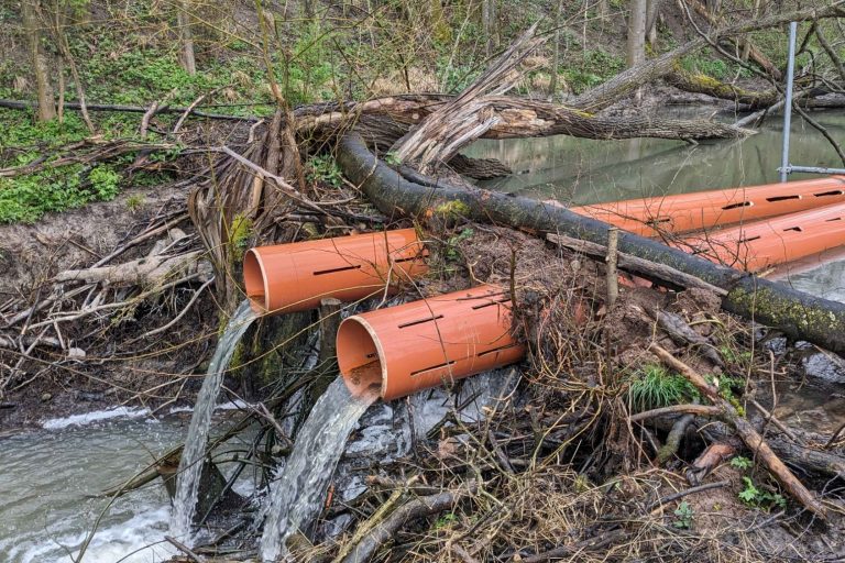 2 Rohre in einem Biberdamm